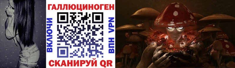 Галлюциногенные грибы Cubensis  Купить закладки  Зверево 